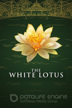 Белый лотос (Сериал, 2021) смотреть онлайн на Лордфильм бесплатно в HD