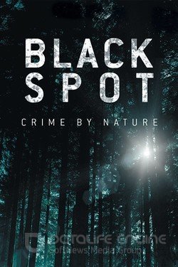 Мёртвая зона (Сериал, 2017) смотреть онлайн на Лордфильм бесплатно в HD