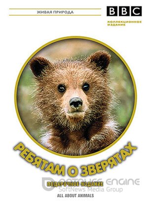 BBC: Ребятам о зверятах (Сериал, 2006) смотреть онлайн на Лордфильм бесплатно в HD