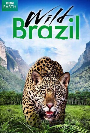 Дикая Бразилия (Сериал, 2014) смотреть онлайн на Лордфильм бесплатно в HD