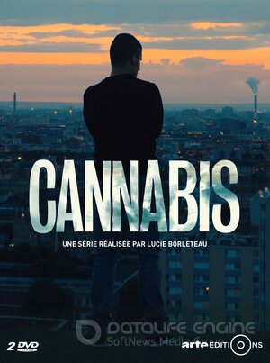 Каннабис (Сериал, 2016) смотреть онлайн на Лордфильм бесплатно в HD