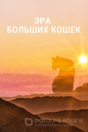 Эра больших кошек (Сериал, 2018) смотреть онлайн на Лордфильм бесплатно в HD