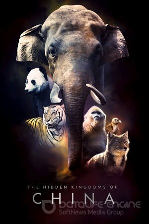 Затерянные царства Китая (Сериал, 2020) смотреть онлайн на Лордфильм бесплатно в HD