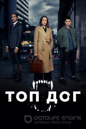 Топ дог (Сериал, 2020) смотреть онлайн на Лордфильм бесплатно в HD