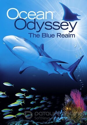 Синее царство (Сериал, 2004) смотреть онлайн на Лордфильм бесплатно в HD