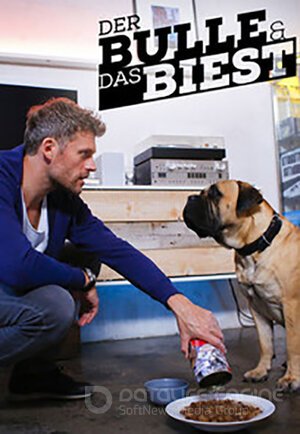 Полицейский и чудовище (Сериал, 2019) смотреть онлайн на Лордфильм бесплатно в HD