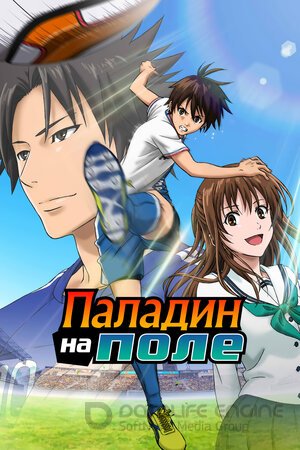 Паладин на поле (Сериал, 2012) смотреть онлайн на Лордфильм бесплатно в HD