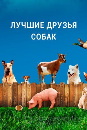 Лучшие друзья собак (Сериал, 2014) смотреть онлайн на Лордфильм бесплатно в HD