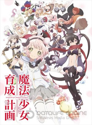 Проект по обучению волшебниц (Сериал, 2016) смотреть онлайн на Лордфильм бесплатно в HD