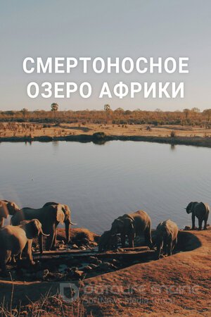 Смертоносное озеро Африки (Сериал, 2020) смотреть онлайн на Лордфильм бесплатно в HD
