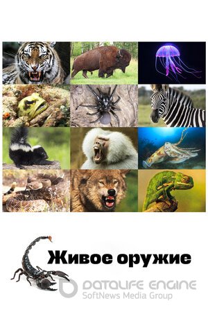 Живое оружие (Сериал, 2016) смотреть онлайн на Лордфильм бесплатно в HD