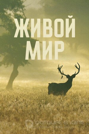 Живой мир (Сериал, 2023) смотреть онлайн на Лордфильм бесплатно в HD