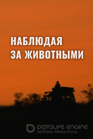 Наблюдая за животными (Сериал, 2013) смотреть онлайн на Лордфильм бесплатно в HD