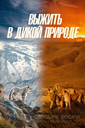 Выжить в дикой природе (Сериал, 2016) смотреть онлайн на Лордфильм бесплатно в HD