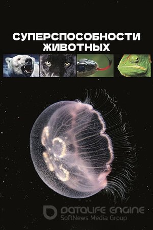 Суперспособности животных (Сериал, 2015) смотреть онлайн на Лордфильм бесплатно в HD