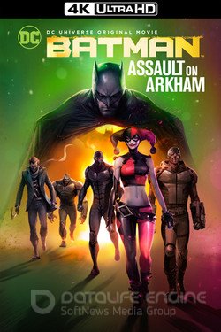Бэтмен: Нападение на Аркхэм (Мультфильм, 2014) смотреть онлайн на Лордфильм бесплатно в HD