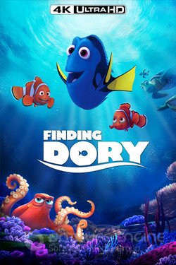 В поисках Дори (Мультфильм, 2016) смотреть онлайн на Лордфильм бесплатно в HD