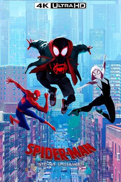 Человек-паук: Через вселенные (Мультфильм, 2018) смотреть онлайн на Лордфильм бесплатно в HD